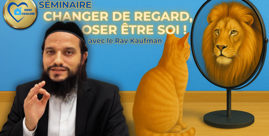 Série #1 YT TN.png