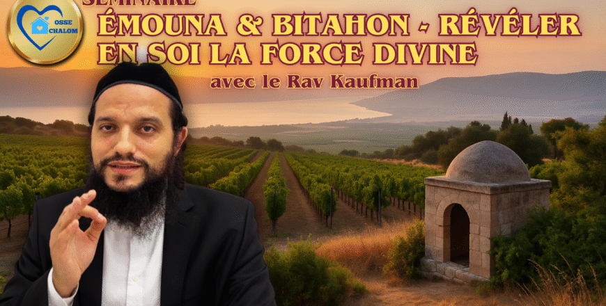 Série #2 YT TN.png